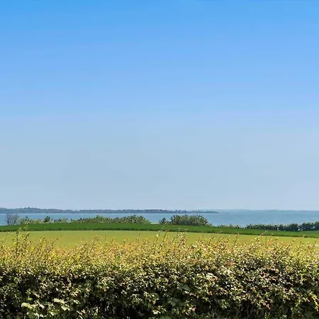 Sj257-hejls-brombaervaenget-17 *